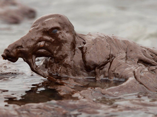 via The Atlantic / AP Photo/Charlie Riedel